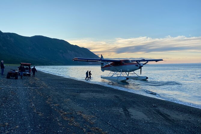 Ultimate Alaskan Adventure: Ocean Wildlife to Interior Wilderness 9 Day/8 Nights - Day 6: The Alaska SeaLife Center and Homer Spit