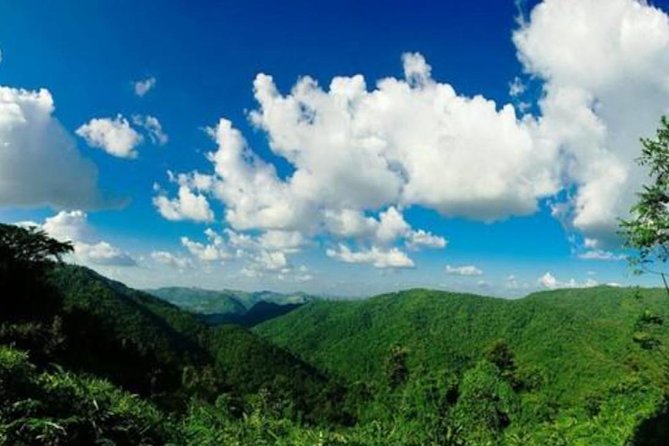 UNESCO Khao Yai National Park Adventure: Hiking & Waterfalls - The forest hike is the heart of the day