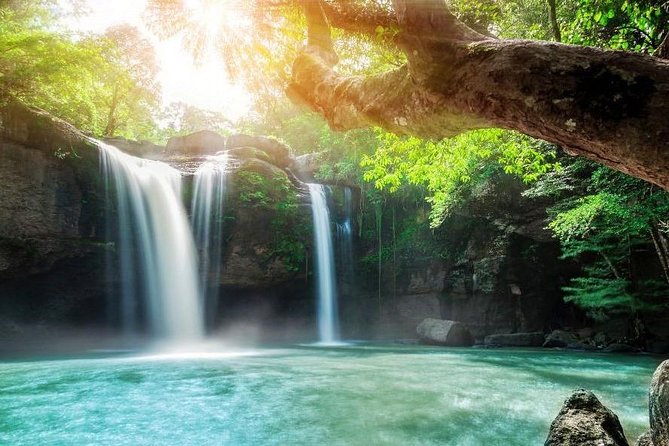 UNESCO Khao Yai National Park Adventure: Hiking & Waterfalls - Lunch, water, and what the $116.42 price really covers