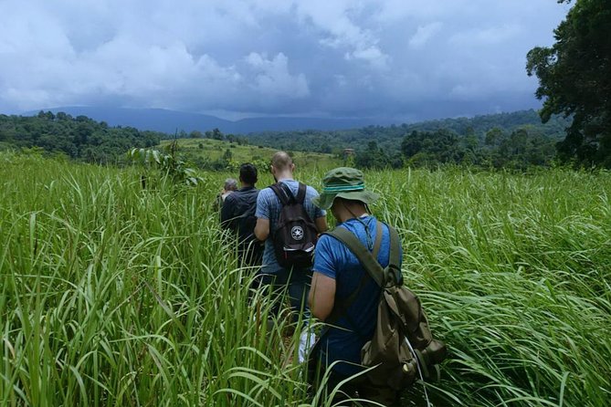 UNESCO Khao Yai National Park Adventure: Hiking & Waterfalls - Four hours inside Khao Yai National Park