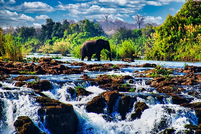 Unique Safari Game Drives in Zambezi National Park, 4 Options - A real safari close to Victoria Falls