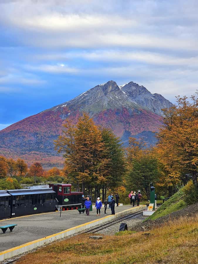 Ushuaia: Tierra del Fuego National Park - Alakush Visitor Center: your practical pause