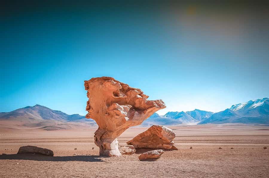 Uyuni: Guided 3-Day Tour Salt Flats & Avaroa National Park - Day 2: Flamingo lagoons, volcanic deserts, and the Red Lagoon