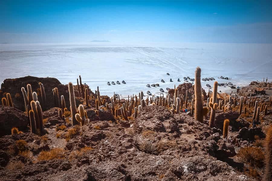 Uyuni: Guided 3-Day Tour Salt Flats & Avaroa National Park - The guide, vehicle, and group size