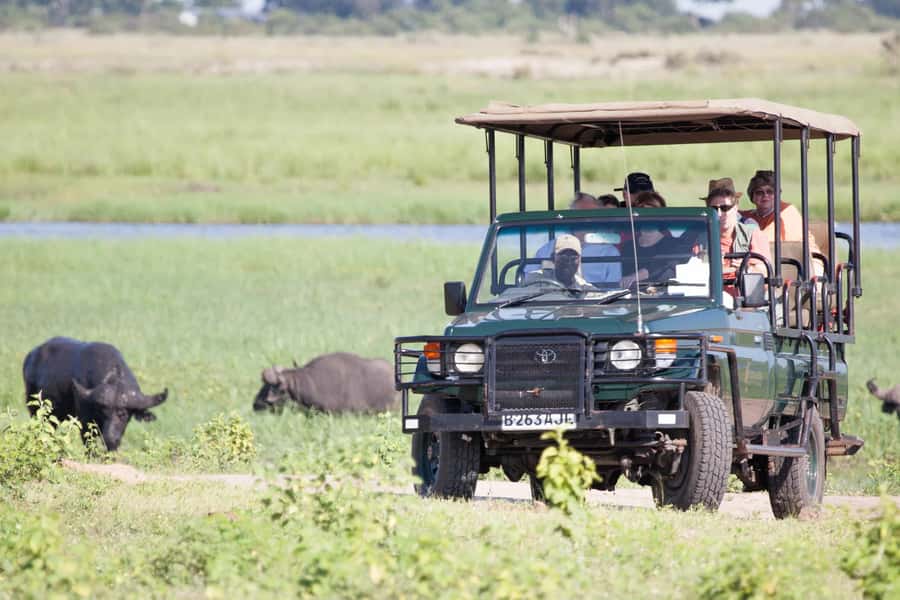 Victoria Falls: Chobe National Park Day Trip with Lunch - Why this Victoria Falls safari works so well