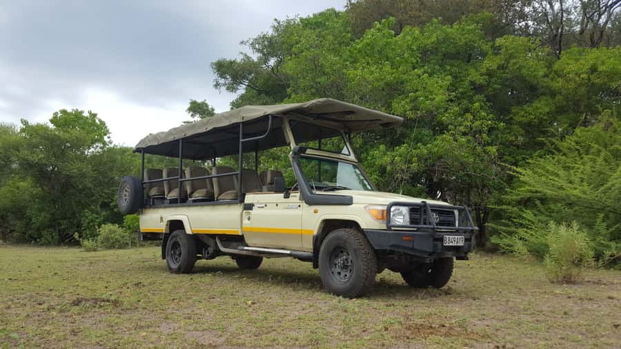 Victoria Falls: Chobe National Park Day Trip with Lunch - Lunch at the lodge