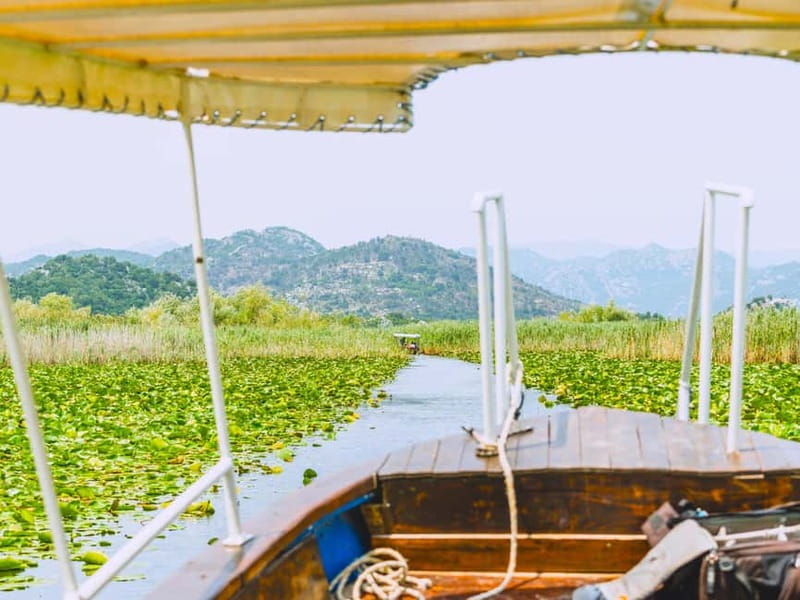 Virpazar: Skadar Lake National Park Boat Tour & Karuč Visit - When the river opens onto Skadar Lake