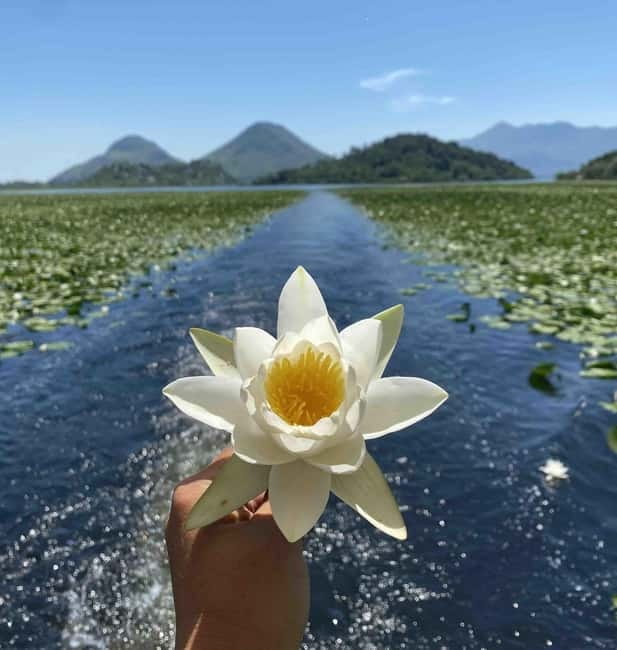 Virpazar: Skadar Lake National Park Guided Boat Tour - Leaving Virpazar through the Crmnica River