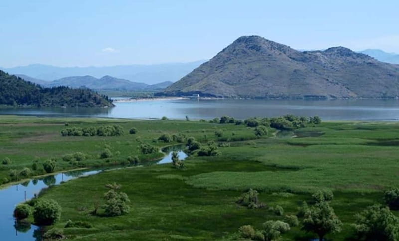Virpazar: Skadar Lake National Park Guided Boat Tour - Fort Lesendro and the railway bridge