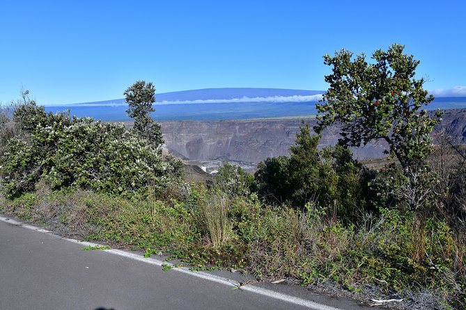 Volcano National Park Adventure From Kona - Punaluʻu Black Sand Beach and Hawaiian green turtles