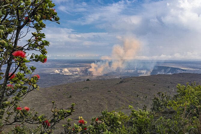 Volcanoes National Park: Guided, Small-Group Hike - A Native Hawaiian Forest After the Lava