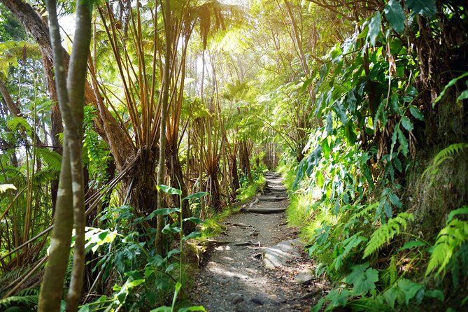 Volcanoes National Park: Guided, Small-Group Hike - Food, Gear, and the Value of a Six-Hour Hike
