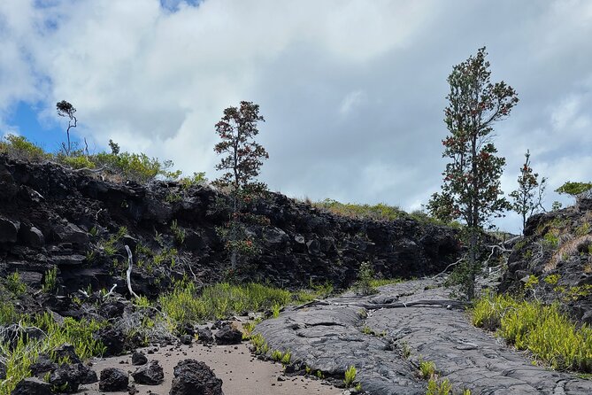 Volcanoes National Park Private Tour - Two hours inside Hawaii Volcanoes National Park