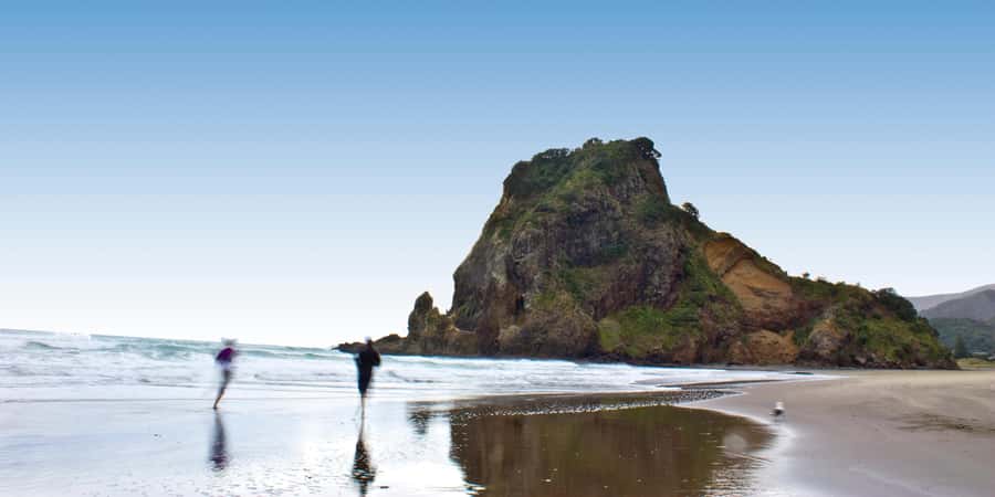 Waitakere Ranges Wilderness Experience Tour from Auckland - Walking the rainforest tracks