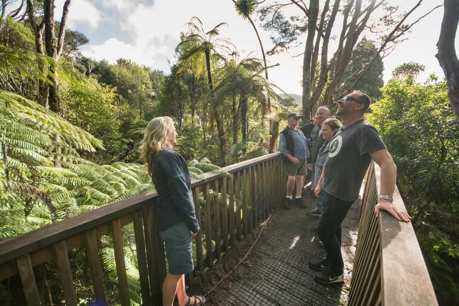 Waitakere Ranges Wilderness Experience Tour from Auckland - Small details that make the outing better