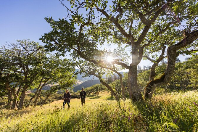 Walking safari & game drive Day trip in Arusha National park - Why Arusha National Park makes a strong first safari
