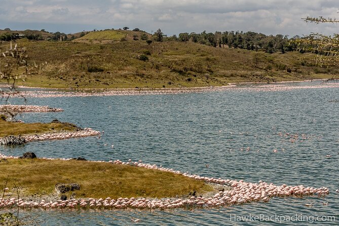 Walking safari & game drive Day trip in Arusha National park - Mount Meru, Momella Lakes, and Ngurdoto Crater