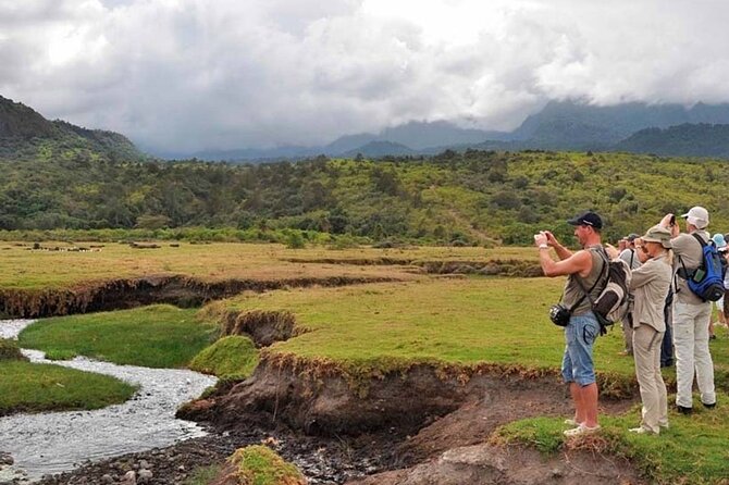 Walking safari & game drive Day trip in Arusha National park - Timing, weather, and practical planning