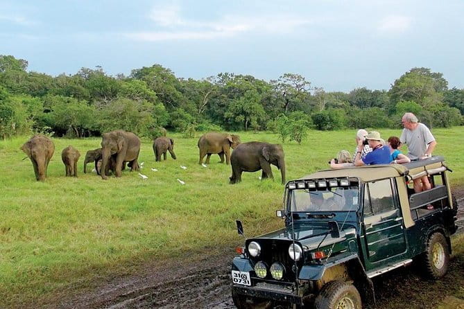 Wasgamuwa National Park Entrance Ticket with Private Safari - What you may see beyond elephants