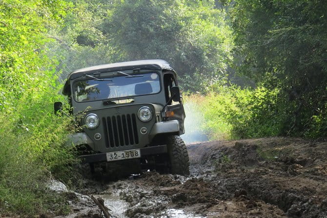 Wasgamuwa National Park Entrance Ticket with Private Safari - The first moments at Wasgamuwa National Park