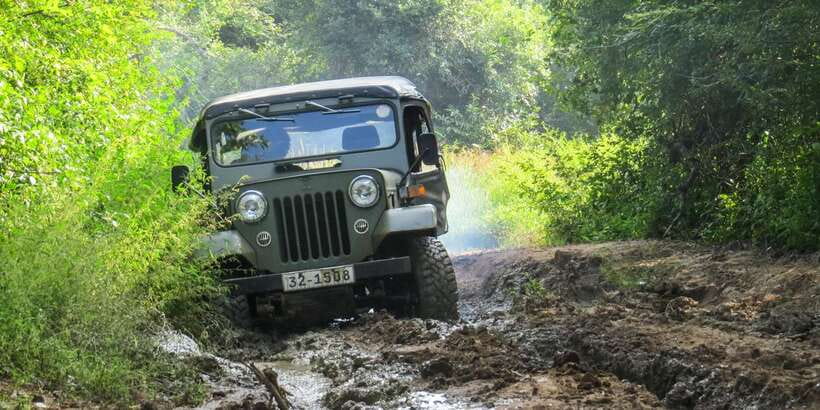 Wasgamuwa: Wasgamuwa National Park Private 3-Hour Safari - Starting at the Wasgamuwa National Park entrance