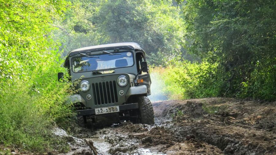 Wasgamuwa: Wasgamuwa National Park Private 3-Hour Safari - How the price compares with the experience