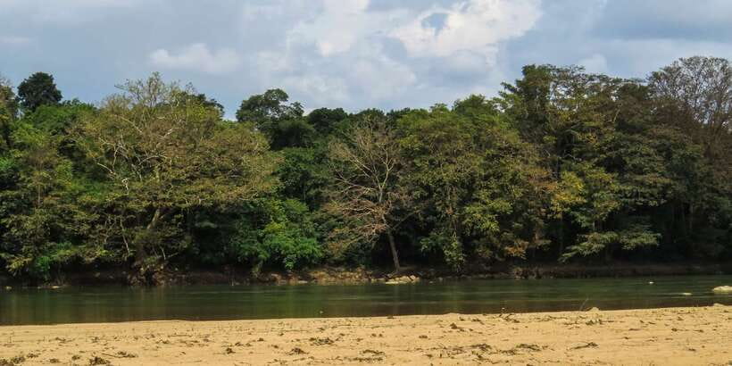 Wasgamuwa: Wasgamuwa National Park Private 3-Hour Safari - Who should book this Wasgamuwa safari