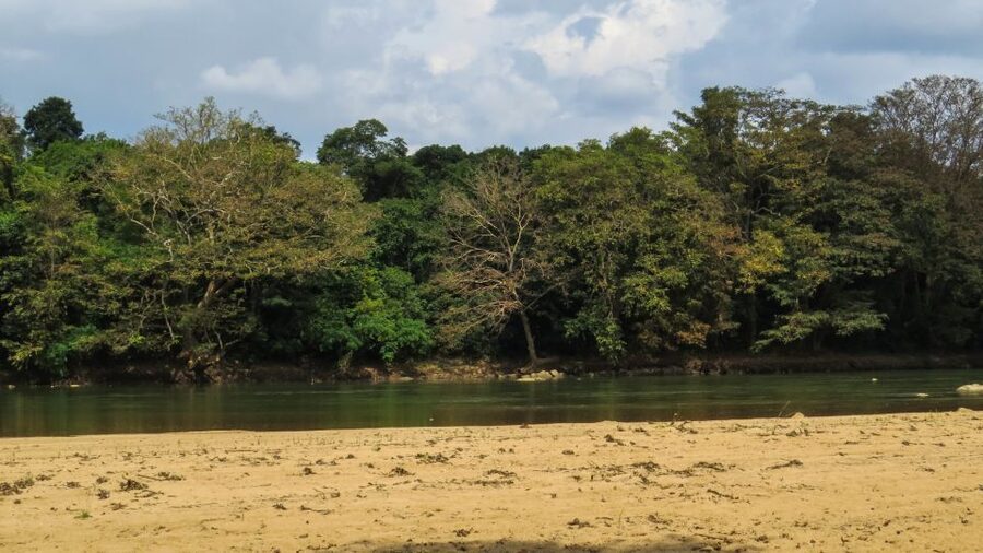Wasgamuwa: Wasgamuwa National Park Private 3-Hour Safari - Should you book it?