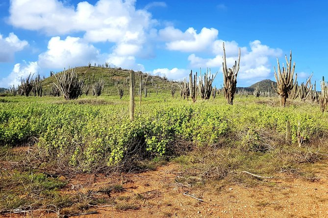 Washington Slagbaai National Park Tour in Bonaire - Wayaka II for swimming and snorkeling