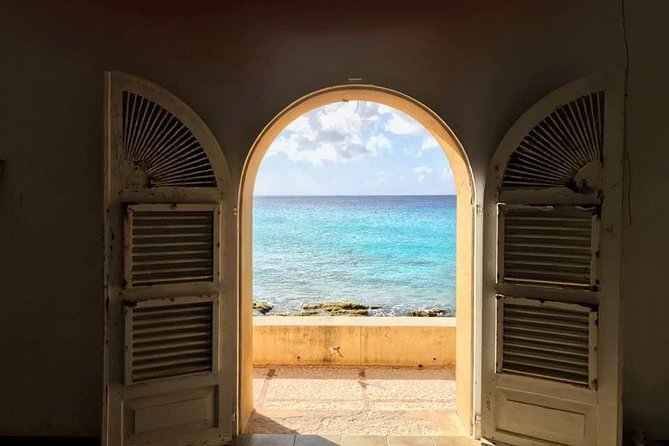 Washington Slagbaai National Park Tour in Bonaire - The Brandaris hike: the detail to clarify