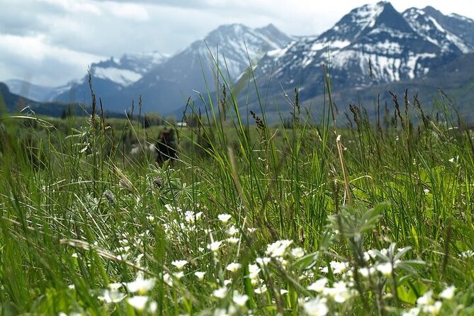 Waterton-Glacier International Peace Park | Be a Wildflower - Why Waterton is worth the long drive from Calgary