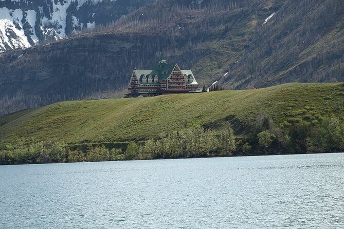 Waterton-Glacier International Peace Park | Be a Wildflower - Bison, prairie, and a different side of Alberta