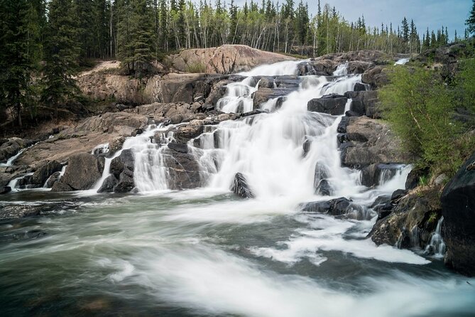 Waterton Lakes National Park Scenic Day Tour from Calgary - Buffalo paddock or Okotoks Big Rock