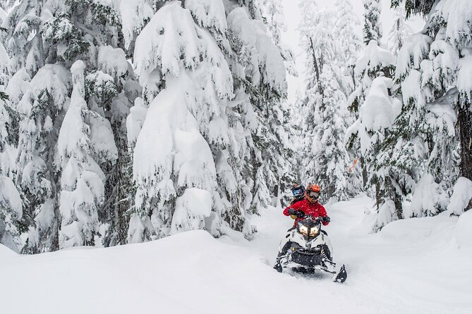 Whistler Wilderness Run Snowmobile Tour - Guides make the difference