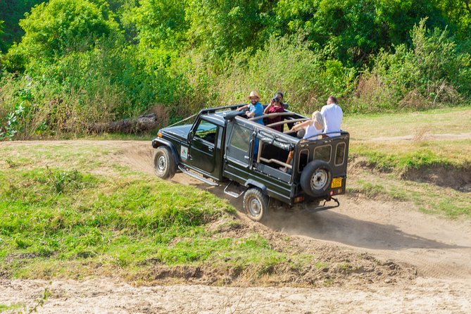 Wild Elephant Safari in Minneriya National Park - What the driver-guide adds