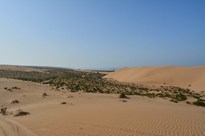 Wild National Park & Sahara Desert including Couscous & Tajine - Through Massa and nearby Berber villages