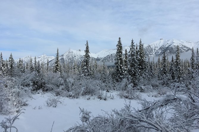 Wilderness and Wildlife Hiking Tour - 3hr Hike - What guides Ben, Jacob, and Isla add