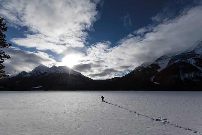 Wilderness and Wildlife Hiking Tour - 3hr Hike - How the route changes with the weather