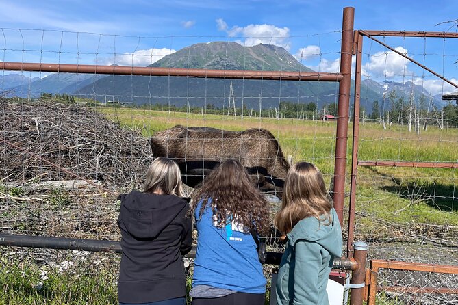 Wilderness and Wine Tasting out of Anchorage - Is $199 a fair price?