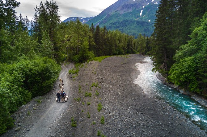 Wilderness Dog Sled Ride and Tour in Seward - Should you book the Wilderness Dog Sled Ride in Seward?