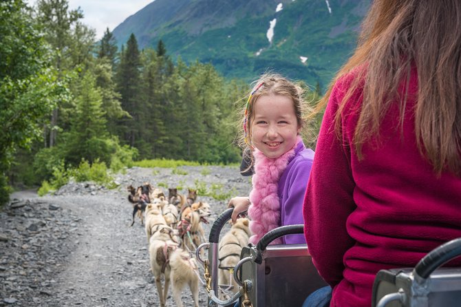 Wilderness Dog Sled Ride and Tour in Seward - Why the puppy visit matters