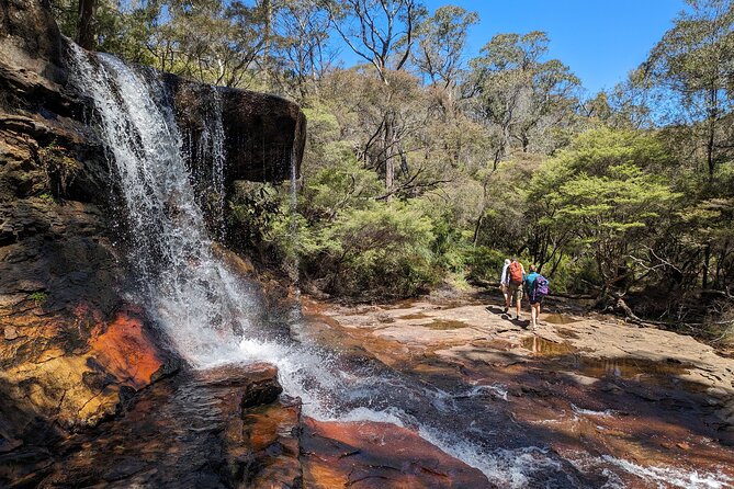 Wilderness, Waterfalls, Three Sisters BLUE MOUNTAINS PRIVATE TOUR - Scenic World brings rides and rainforest