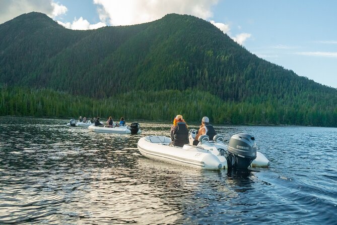 Wilderness Zodiac Quest - Walking through the rainforest to George Inlet