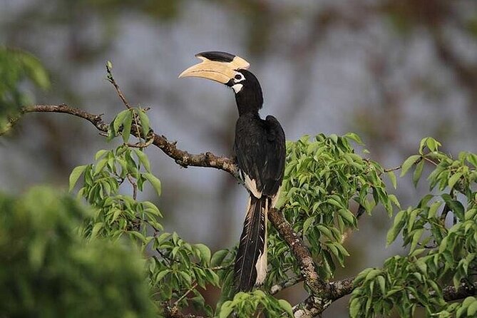 Wilpattu National Park Jeep Safari from Negombo / Waikkal (All Inclusive) - A full day is not the same as a half-day safari