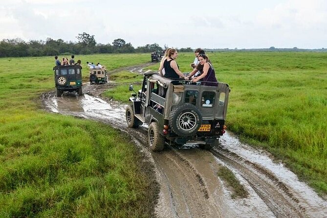 Wilpattu National Park Jeep Safari from Negombo / Waikkal (All Inclusive) - The guide can make or break the day