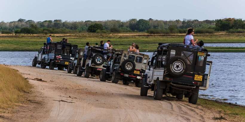 Wilpattu National Park Safari Tour from Colombo - Practical packing advice for a 12-hour safari day