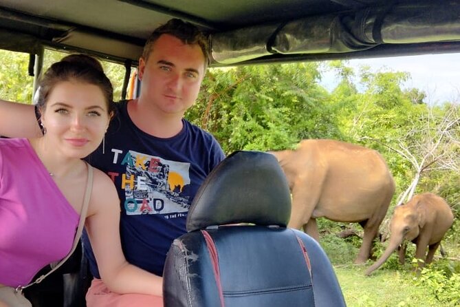 Wilpattu National Park Safari with Pigeon Island Tours - Why Wilpattu feels different from a standard wildlife outing