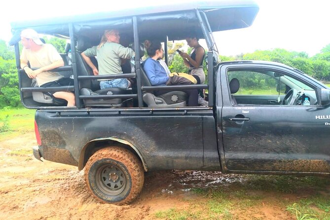 Wilpattu National Park Safari with Pigeon Island Tours - What the 4x4 ride is like