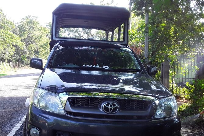 Wilpattu National Park Safari with Pigeon Island Tours - What the guide adds to the ride