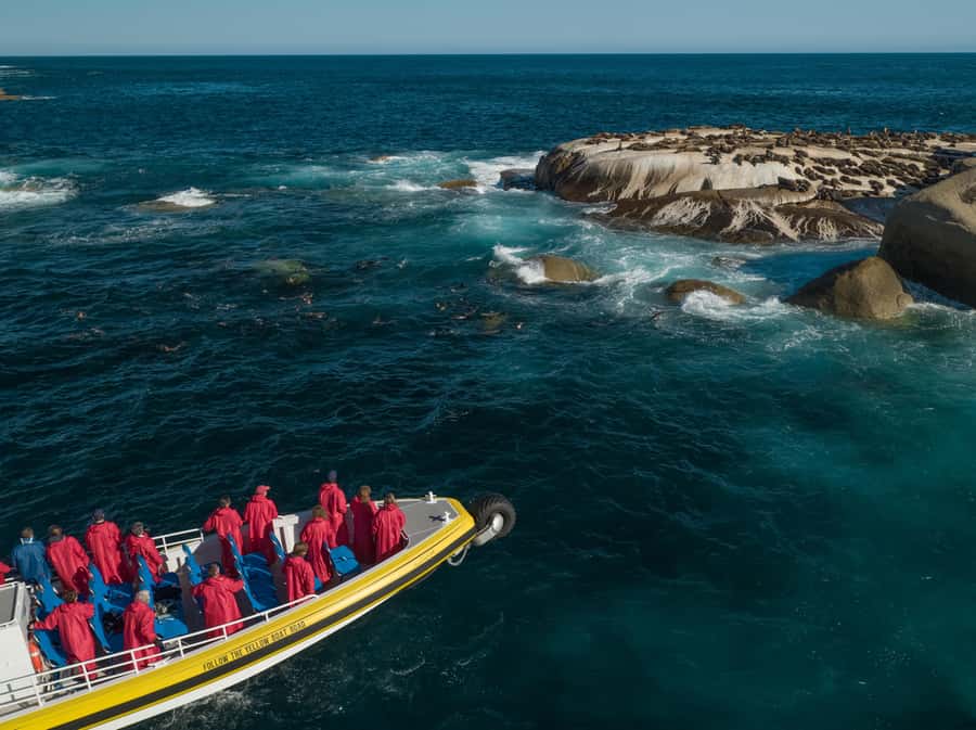 Wilsons Promontory: Afternoon Wilderness Cruise - Why this afternoon cruise is a good way to see Wilsons Promontory